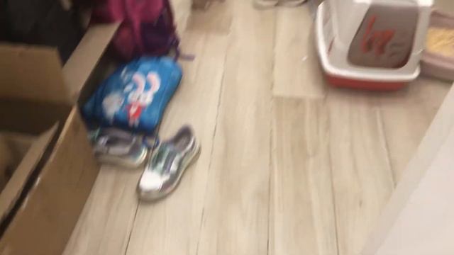 Мини щенки в поисках дома смотреть онлайн