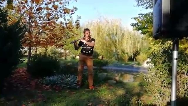 Музыка Души-прекрасные звуки флейты! смотреть онлайн