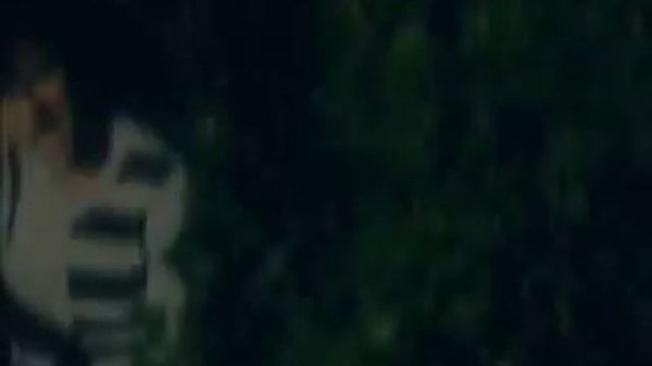 Прохор Шаляпин "Сердце_com"