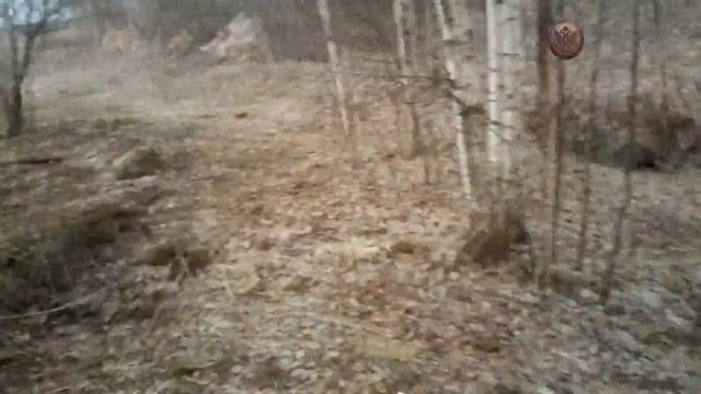 Истории Поиска - Урочище Жарки смотреть онлайн