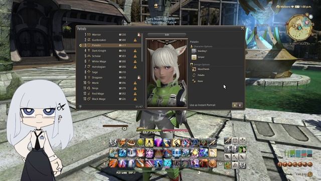 FFXIV | How To Edit Your Final Fantasy XIV Instant Portraits