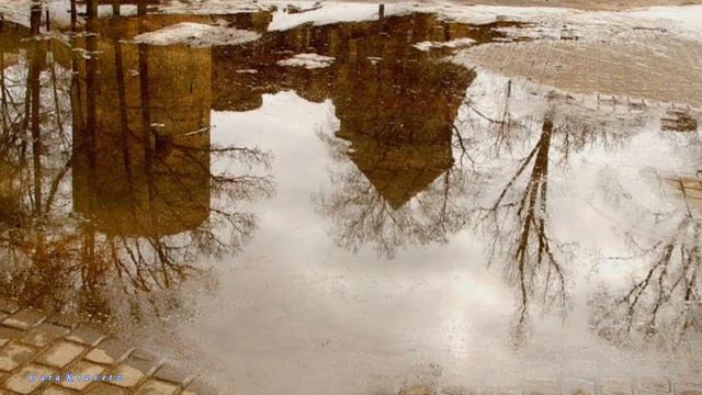 Белый танец сл-Олег Письменный,муз и исп-Лариса Кравец смотреть онлайн