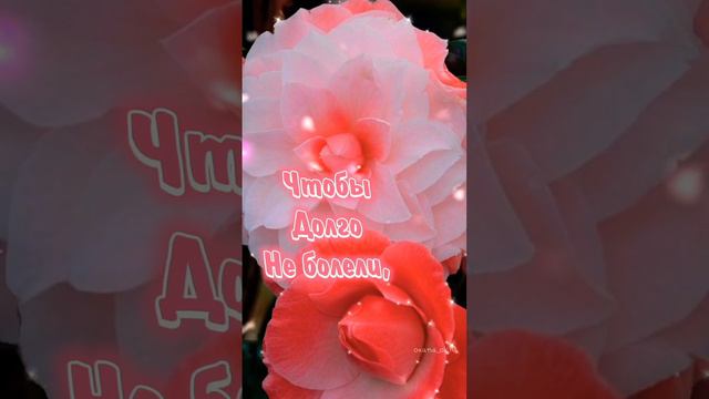 Доброго всем вечера! #видеопожелание смотреть онлайн