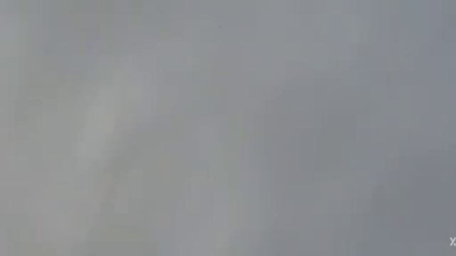 Гон молодёжи . 8918 738 94 03 Бакинцы широкохвостые , подьём мододёжи . смотреть онлайн