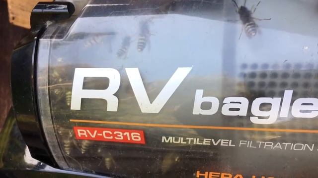 КОШМАР!!!Рой ОС в жилом доме | БОРЬБА С ОСАМИ. смотреть онлайн