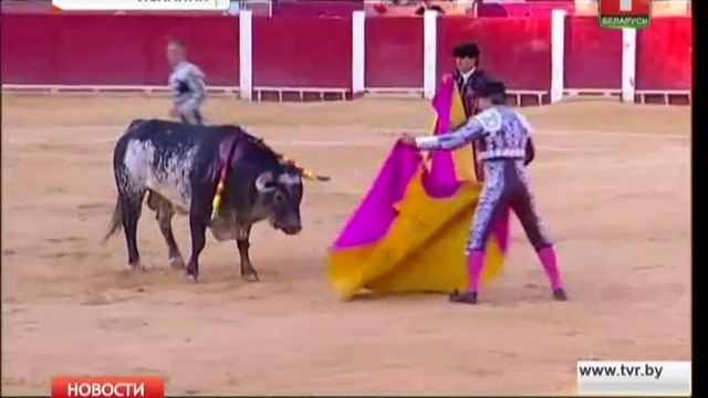 Бык убил тореадора во время корриды 