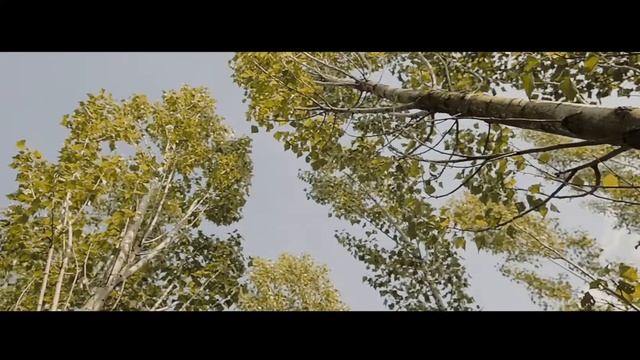 Беседка для фотосессий от FotoNord смотреть онлайн