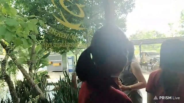 กิน เที่ยว ชมฟรี ศูนย์อนุรักษ์ช้าง ช้างทองคำ смотреть онлайн