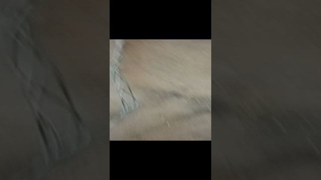 Ходим по стройке с Шреком