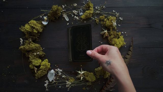 Cosmic Wild Oracle Deck Walkthrough by Cocorrina смотреть онлайн