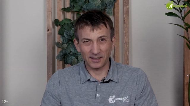 Яичная скорлупа на огороде. ТОП-3 рецепта! смотреть онлайн