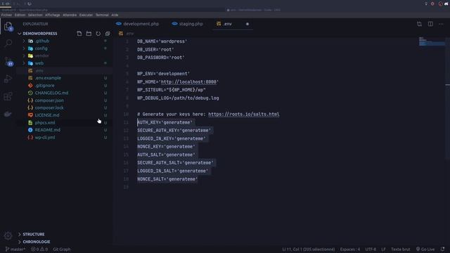 Tutoriel WordPress : Découverte de Bedrock смотреть онлайн