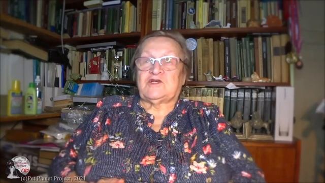 Сотская М.Н. Поведение собак, лекция 5-1 смотреть онлайн