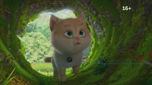 Международный день котиков 8 августа на СТС Love