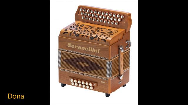 SUMMARY VIDEO OF SERENELLINI MODELS: DIATONICS смотреть онлайн