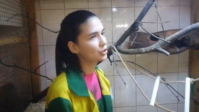 Малый толстый лори 2 смотреть онлайн