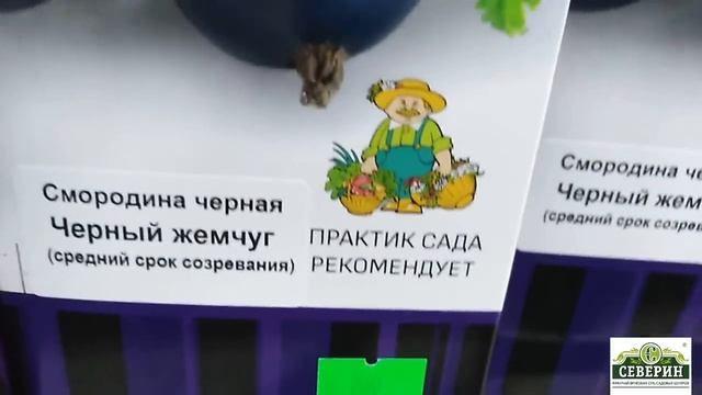 Новое поступление. Обзор 05.04.2021 смотреть онлайн