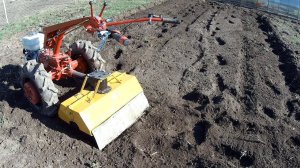 Проект "ИНДЮКИ 2019", вторая  теплица, пробую фрезу на мотоблоке БЕЛАРУС 09Н