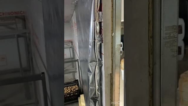 Холодильная камера для тюльпанов смотреть онлайн