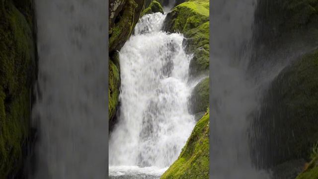 Водопад Этюба на Телецком озере. Алтай. смотреть онлайн