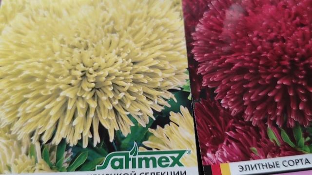 Хризантелла и цена за Бренд. смотреть онлайн