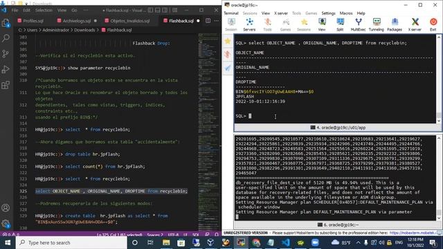 Oracle DBA - Laboratorio FlashBack DROP - 01-10-09-2022 смотреть онлайн