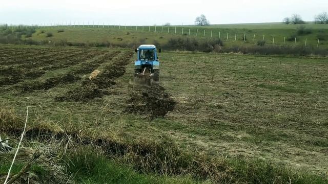 МТЗ с дискатором. дискование участка смотреть онлайн
