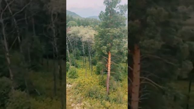 Алтай.Природа Алтая. смотреть онлайн