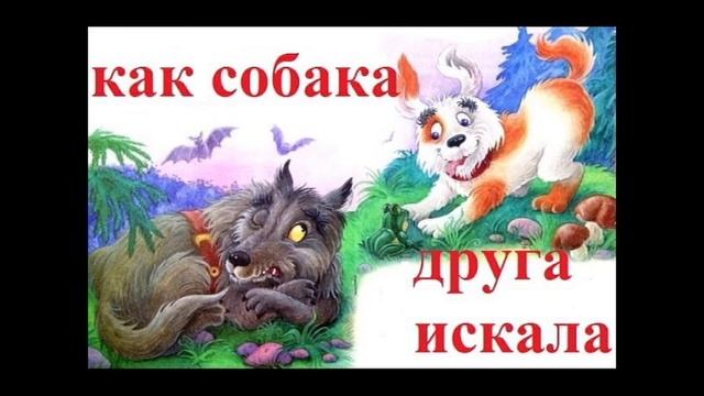 Про то как собака друга искала.08.06.2016.