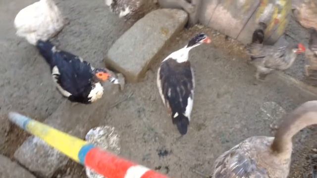 путешествие по Мальте: остров Мануэль смотреть онлайн