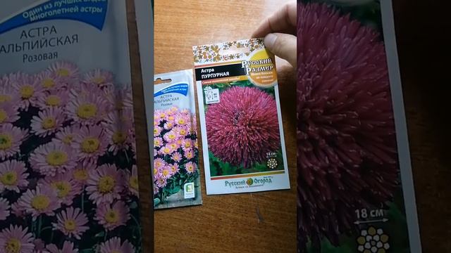 Когда покупать семена к новому сезону, посевной? #дачарайвасильева #аэлита #гавриш #семенаалтая смотреть онлайн