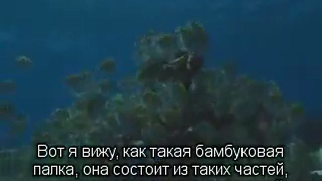 2013.01.11 Упражнение на духовное развитие- смотреть онлайн