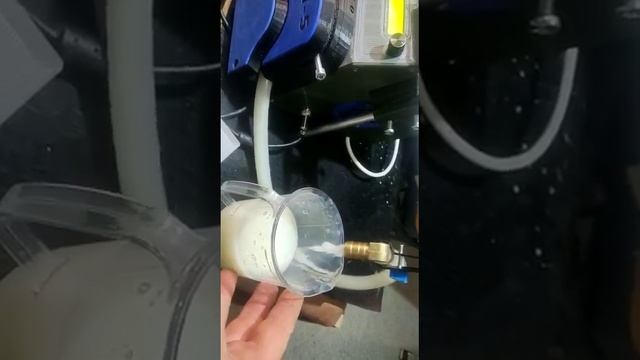 24 апреля 2023 г. смотреть онлайн