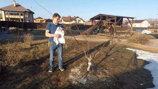 Ловчий пояс из синтепона 100 процентная защита от тли без обработок средства защиты растений смотреть онлайн