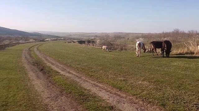 9 апреля 2024 г..mp4 смотреть онлайн