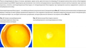 Проверка яиц на оплод ДО инкубации простой способ.