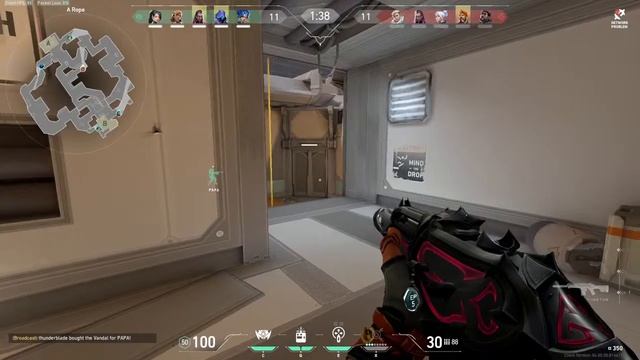 MINECRAFT LIVE STREAM || JOIN 24/7 SMP || JAVA + POCKET EDITION #minecraftlive #minecraftsmp смотреть онлайн