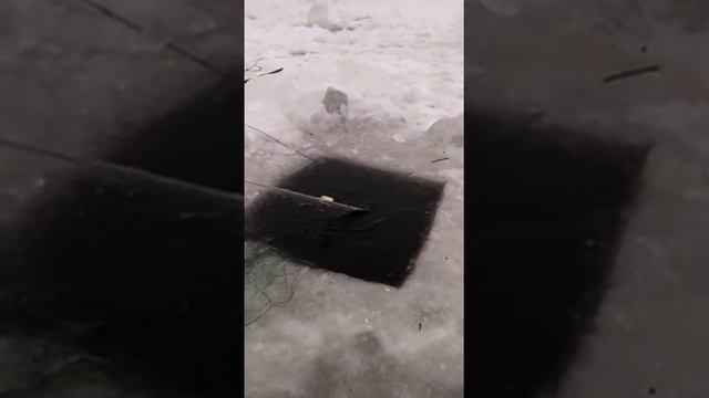 Ловля сетями зимой, проверяем сети. Глухозимье. смотреть онлайн