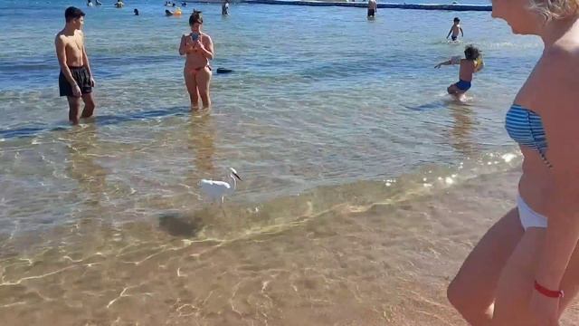 Египет в Январе, Шарм-эль-Шейх ? Cataract Layalina 3☆ Обзор отеля первый день!? смотреть онлайн