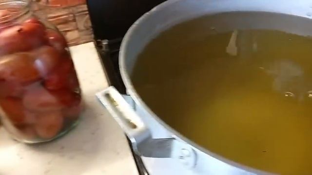 Жизнь в деревне простых людей .Помидоры ,помидоры овощи .Хроника дня. смотреть онлайн
