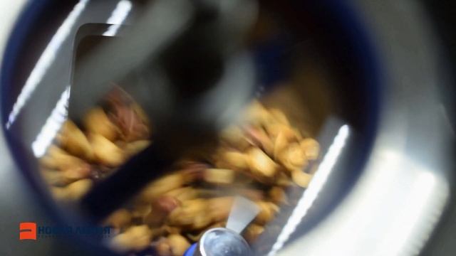 Приготовление фундучной пасты смотреть онлайн