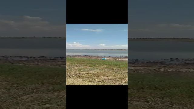 Ч А Й КИ смотреть онлайн