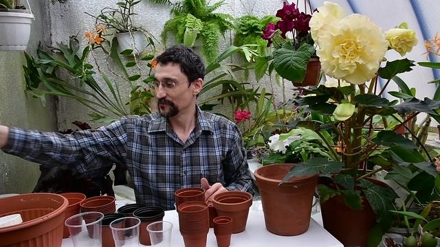 Горшки для цветов смотреть онлайн