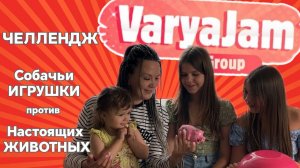 ЧЕЛЛЕНДЖ!!! Собачьи ИГРУШКИ против НАСТОЯЩИХ ЖИВОТНЫХ.