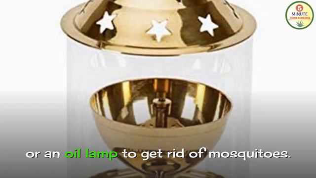 How to Get Rid of Mosquitoes at Home Naturally | Mosquitoes Natural Repellent смотреть онлайн