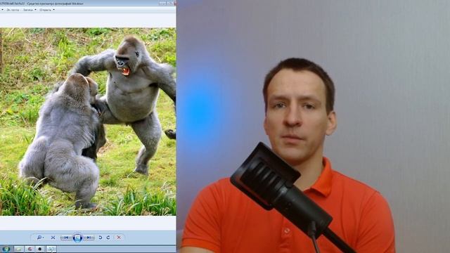 Мастерство и Талант