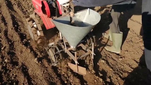 Посадка картофеля мотоблоком Ока. 2021 год!!! смотреть онлайн