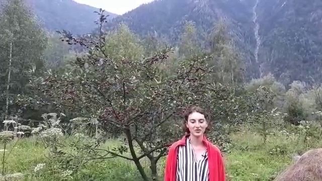 ஐ Евгения, г. Барнаул. Отзыв о Летней Школе Гипноза - 2019 в Горном Алтае смотреть онлайн