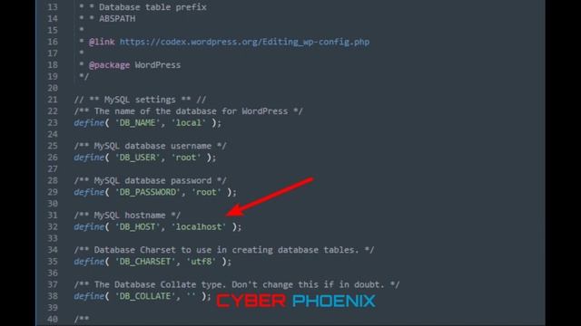 Why Hacker's Says There Is No Place Like 127.0.0.1 | Phoenix hacking tutorial #cyberphoenix смотреть онлайн
