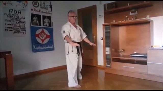 SHIHAN JESUS TALAN - KYOKUSHIN - NIDAN CN 2do. Dan KANKU смотреть онлайн